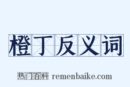 橙丁反义词是什么意思的图片